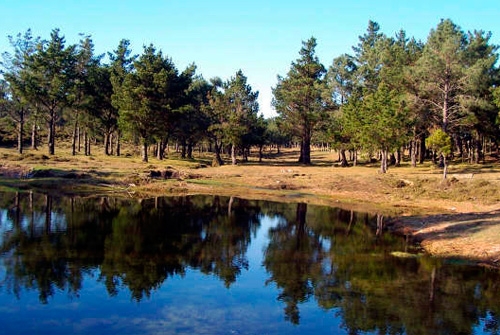 Sitio Natural de Interes Cumio da Curotiña